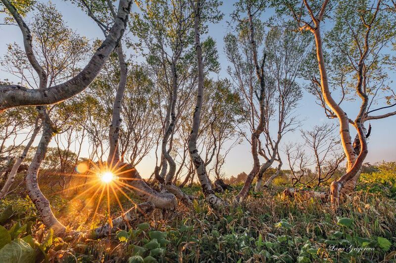 #фототур #пейзаж #россия #путешествия #photogeographic #курилы #кунашир *** фото превью