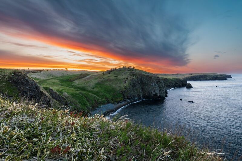 *** фото превью