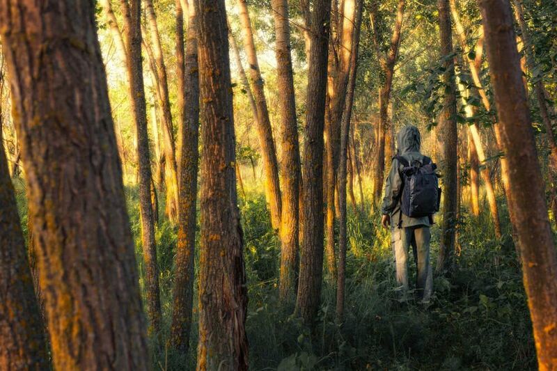 Я фото превью