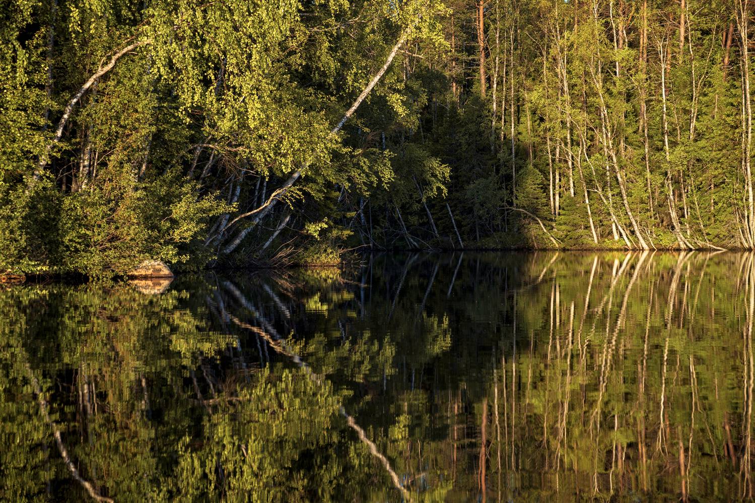 соловки, соловецкие острова, канал, Олег Зверев