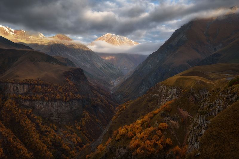 кавказ, горы, грузия, georgia, горный пейзаж, рассвет в горах, крестовый перевал, ущелье, вулкан, осень в горах Хмурое ущелье осенним утром фото превью