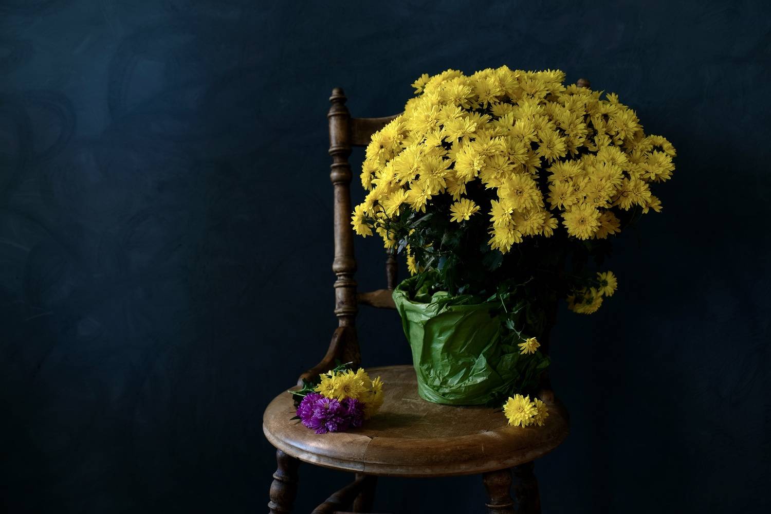 Still life, Flowers, Chrysanthemum, Colors, Yellow, Натюрморт, Цветы, , Povarova Ree Svetlana