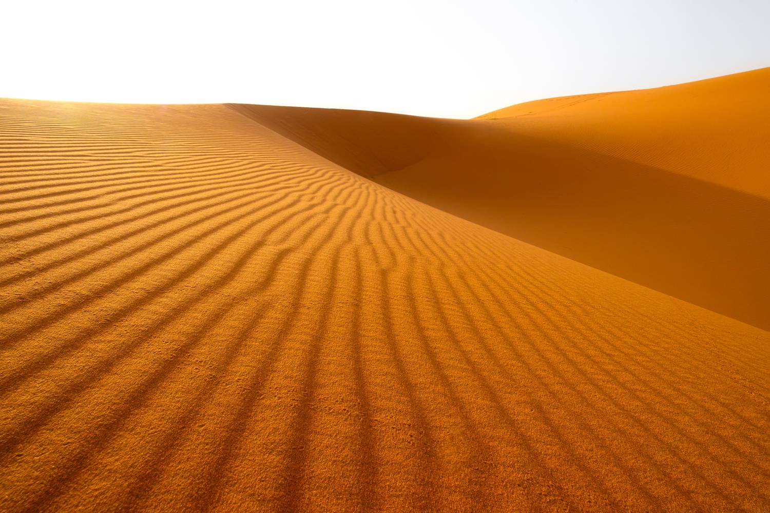 maroc, marocco, sahara desert, desert, sand, orange, light, марокко, пустыня, сахара, пейзаж, дюны, песок , Kaznov Stanislav