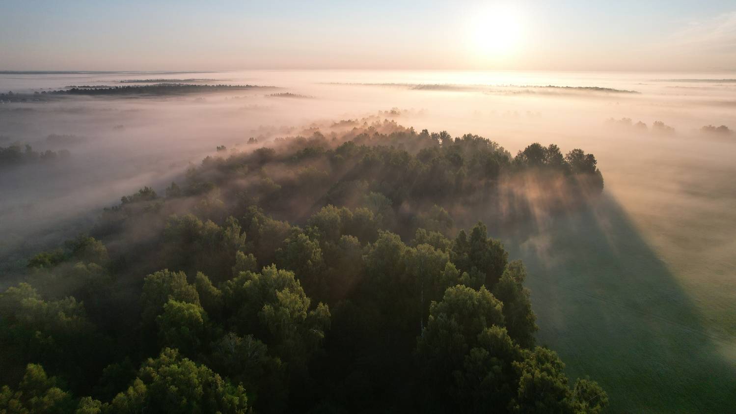 , Константин Буркин