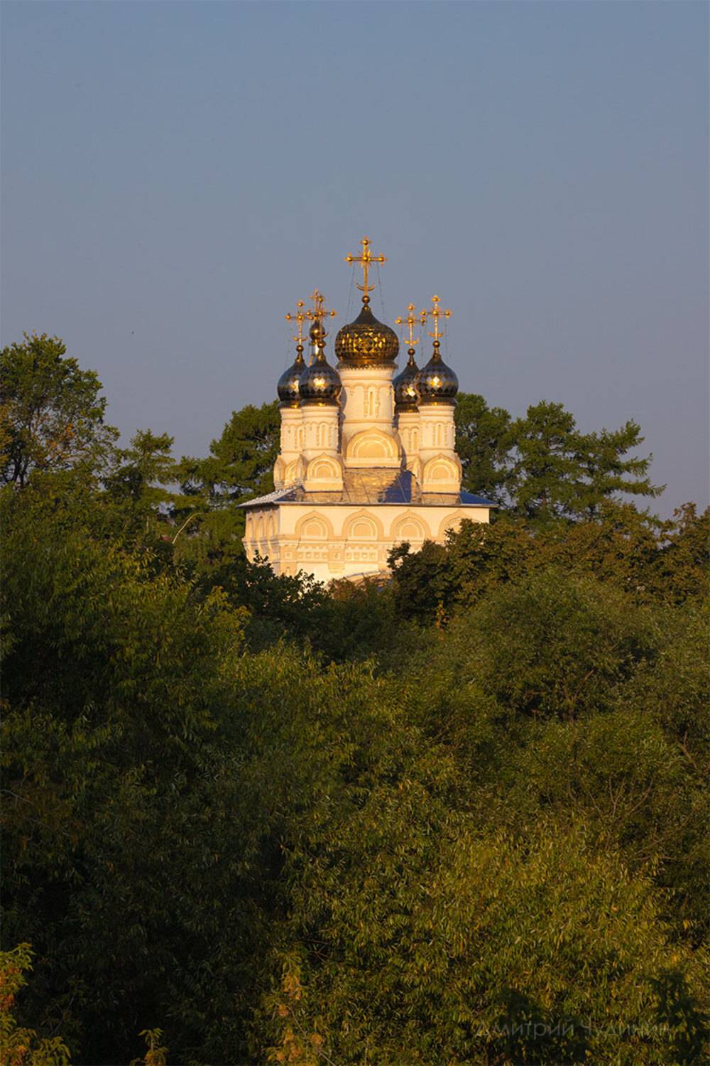 , Чудинин Дмитрий