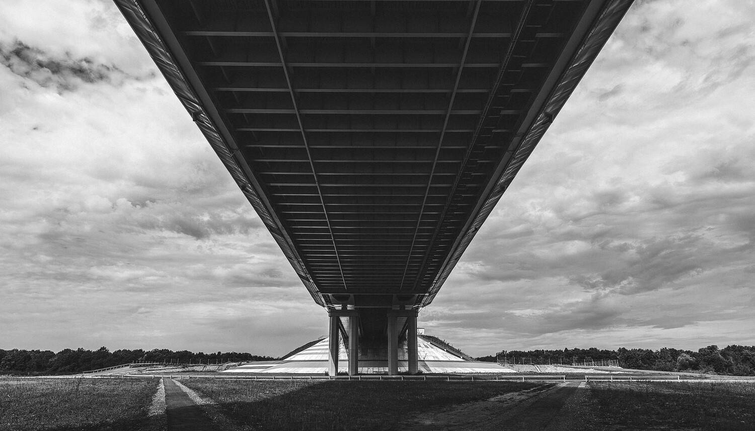 , Владимир Васильев