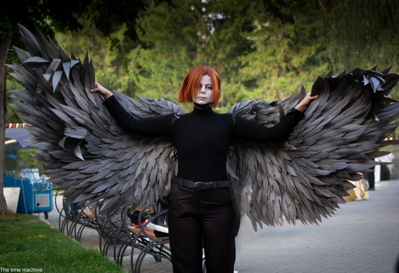 Гиккон фото превью