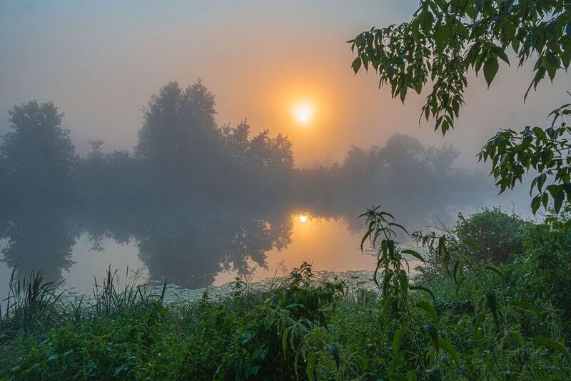 лето озеро рассвет туман природа пейзаж Летнее утро. фото превью