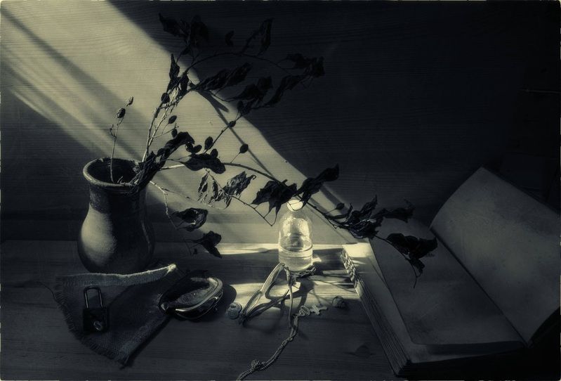 Дочитана последняя глава... фото превью