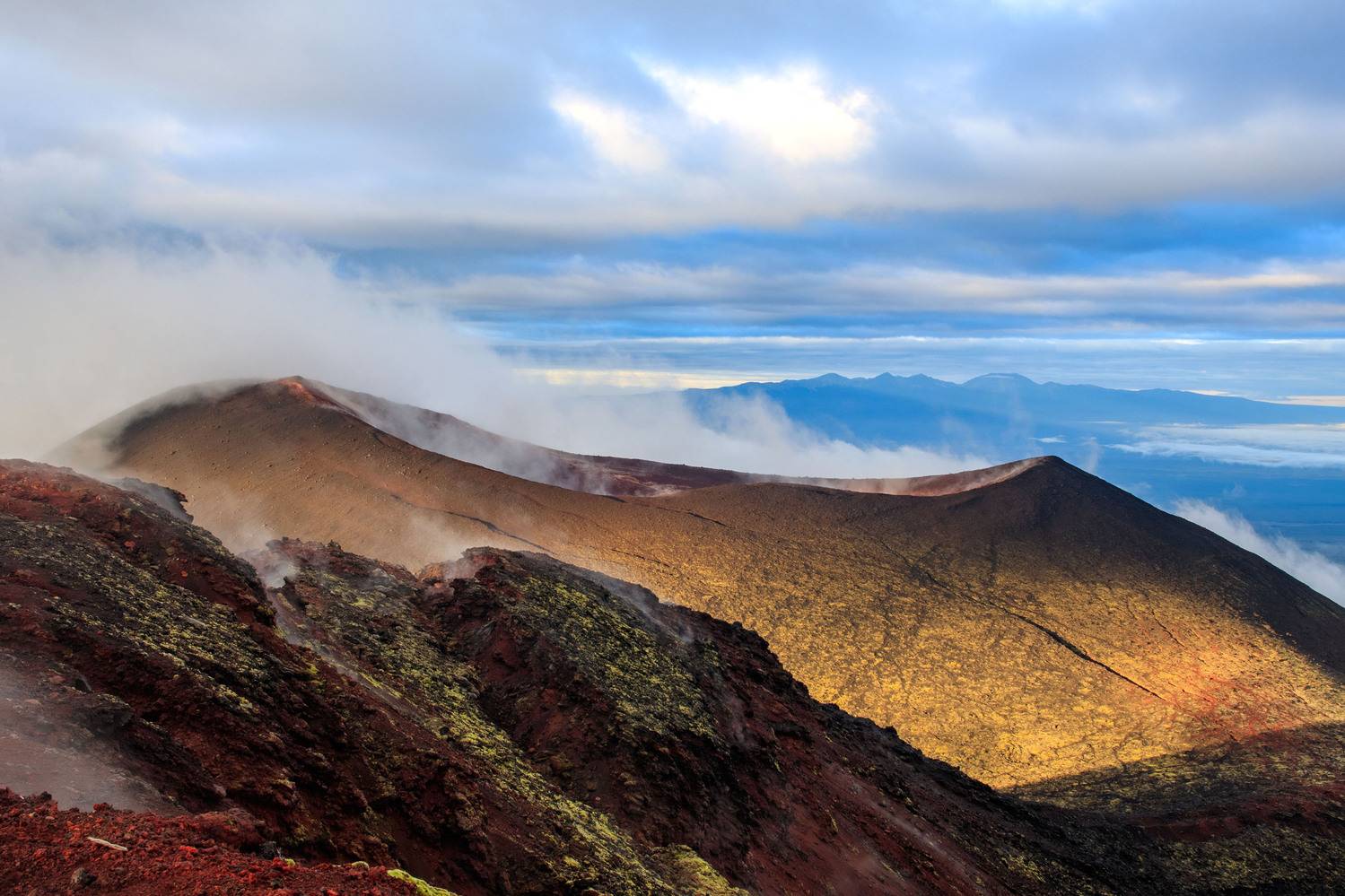 камчатка, Добролюбова Тамара