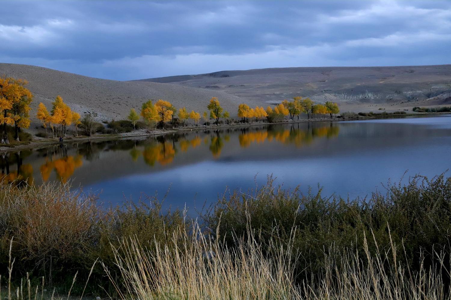 , Владимир Каверин