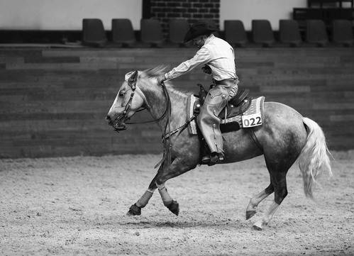 Ковбойский драйв