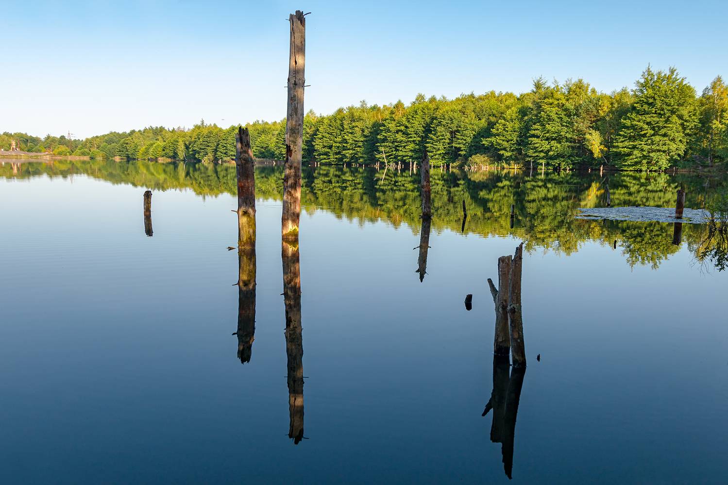 , Владимир Ноздрачев