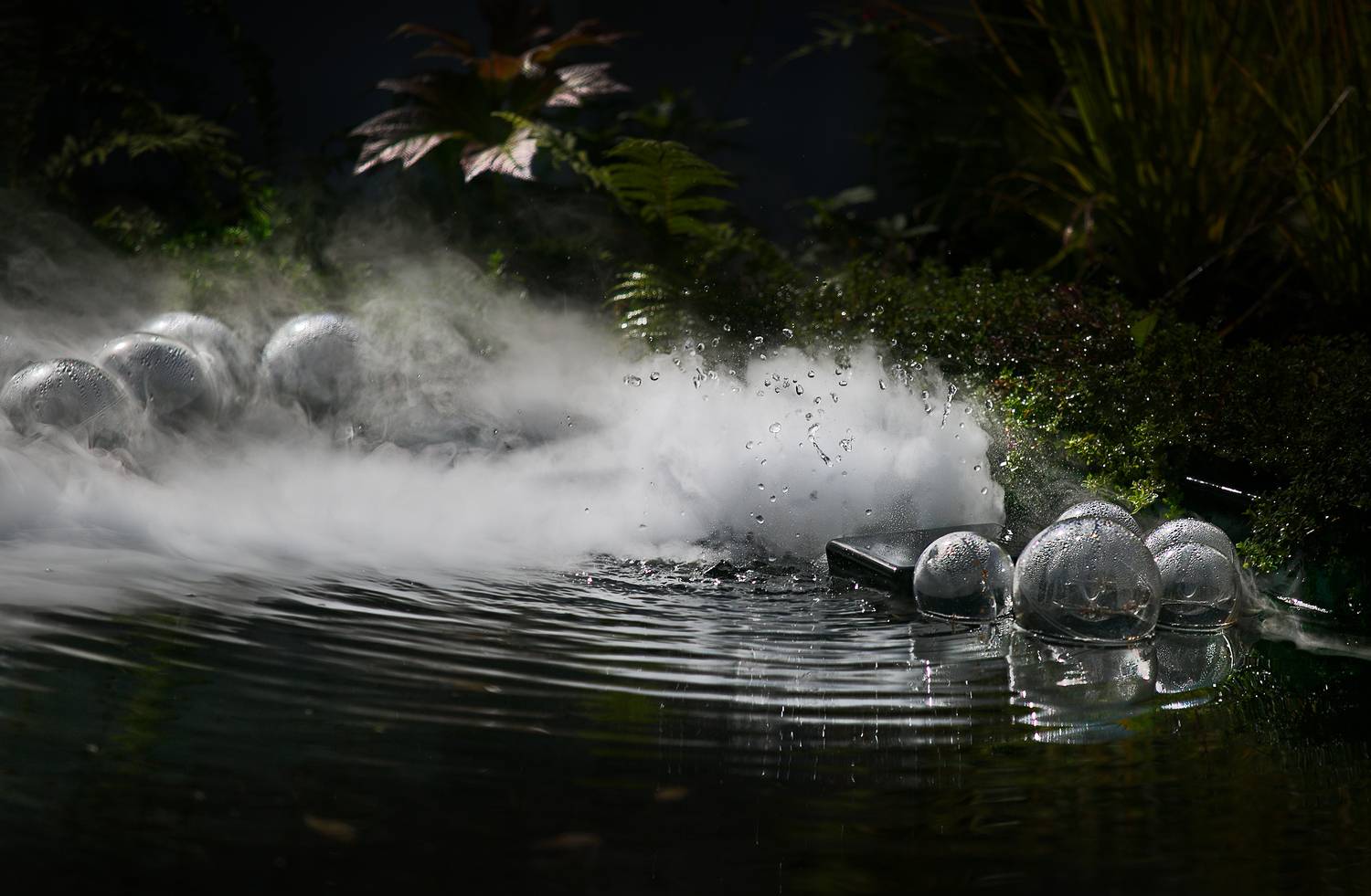 фестиваль, исторических, садов, в, царицыно, 2025, Vera Trandina