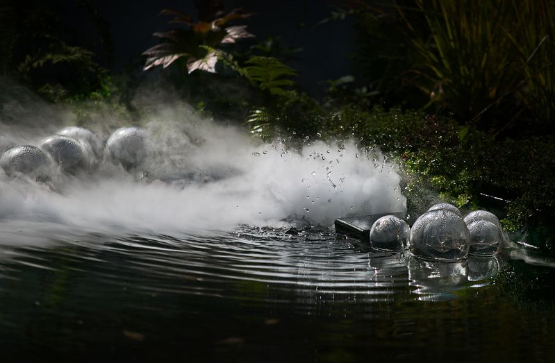 фестиваль, исторических, садов, в, царицыно, 2025 Фестиваль исторических садов фото превью