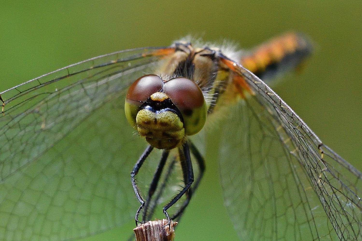 , Корнейчук Игорь