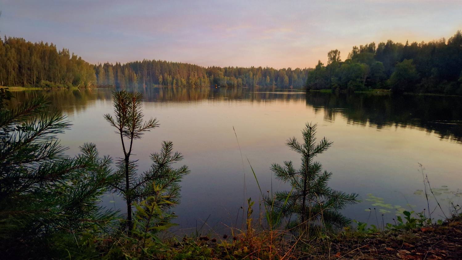 , Фотов Ренат