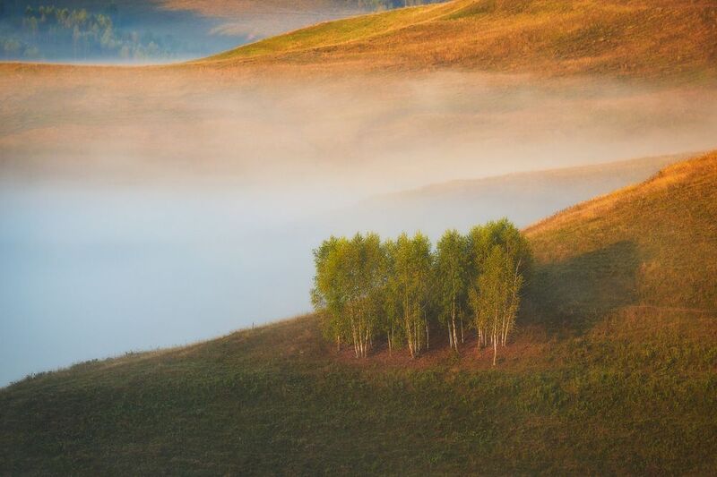 2019 фото превью