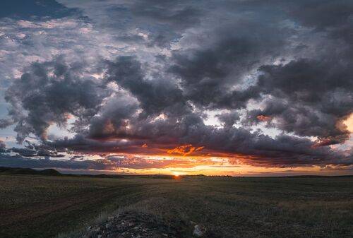 Алтайский край