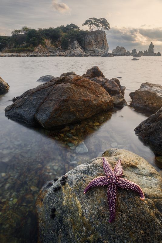 Приморье, Приморский край, Орлинка Бухта Орлинка. Приморье. фото превью