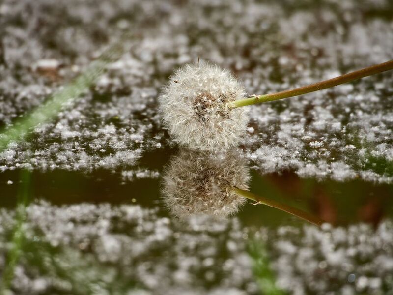 отражение Зеркало фото превью