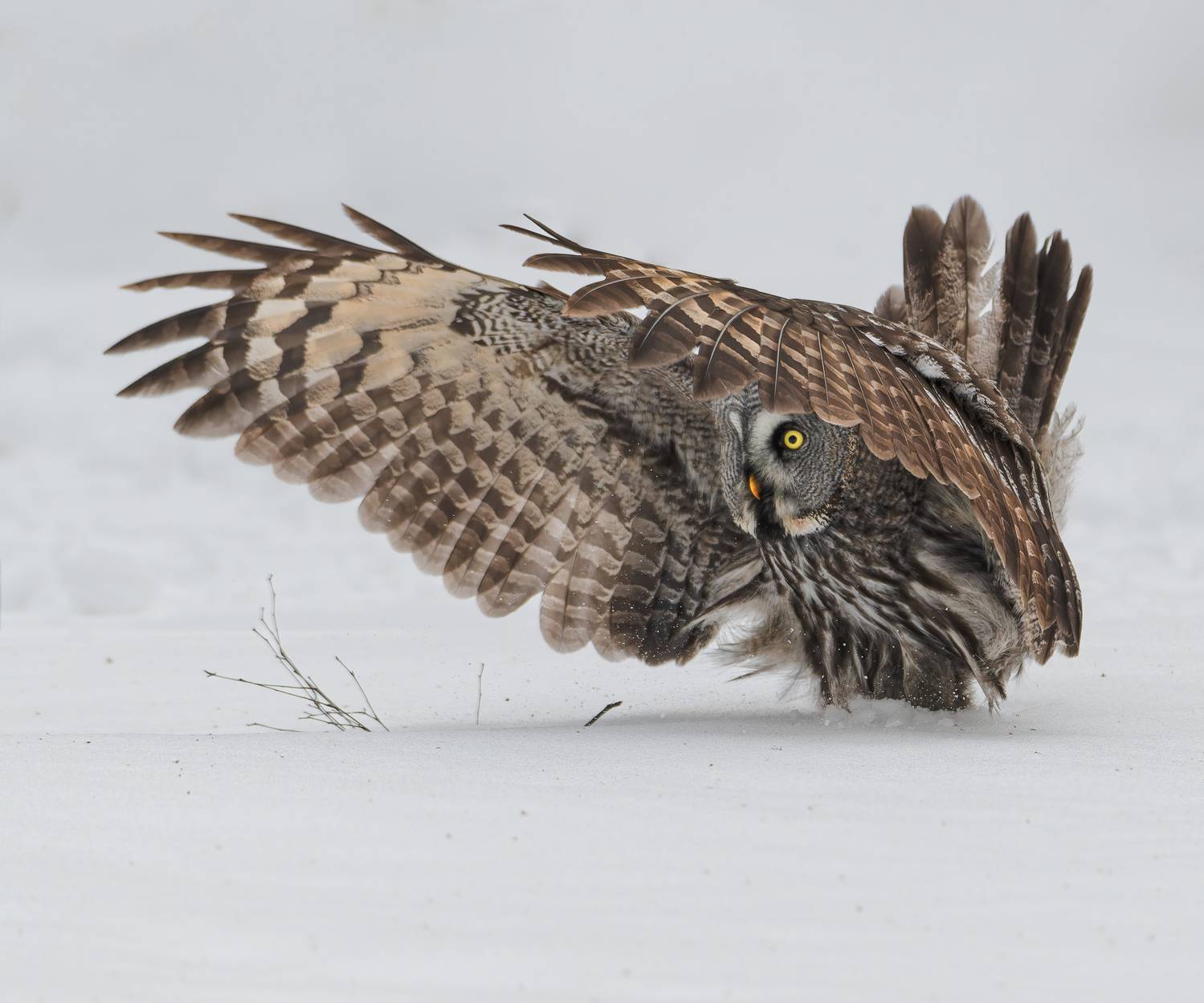 , Фото Александр