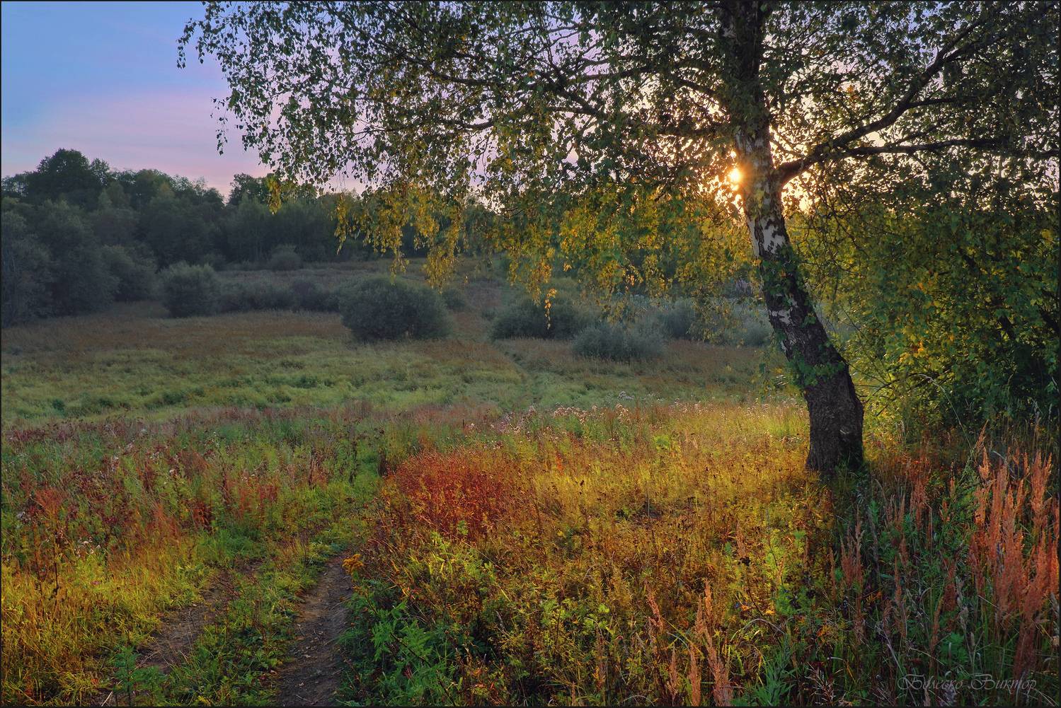 , Болеско Виктор