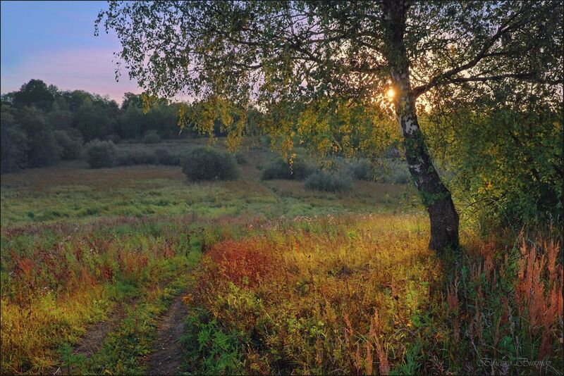 По пути с солнцем фото превью