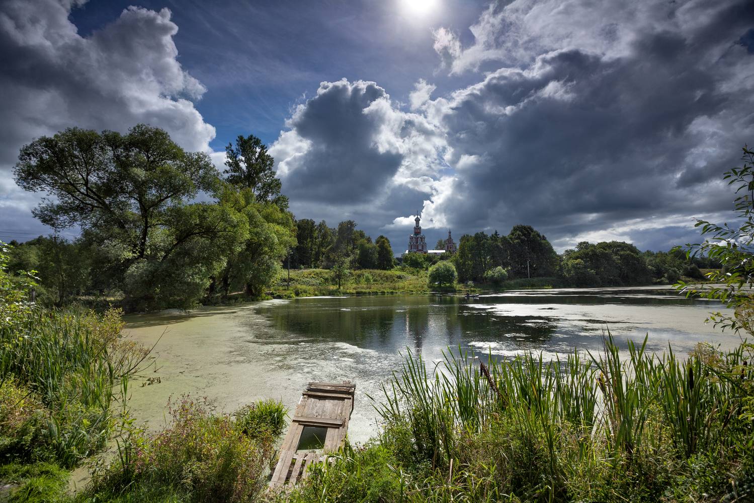 софрино, московская область, Олег Зверев