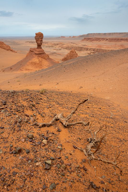 Монголия, Гоби Фототур в Монголию 09.2026 фото превью