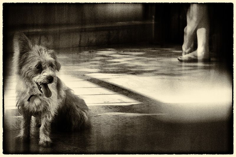 Комбинация фото превью