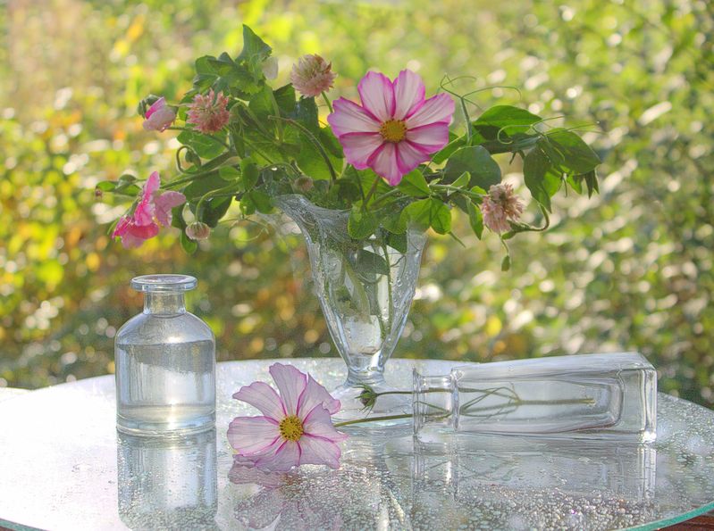 теплый день уходящего лета ... фото превью