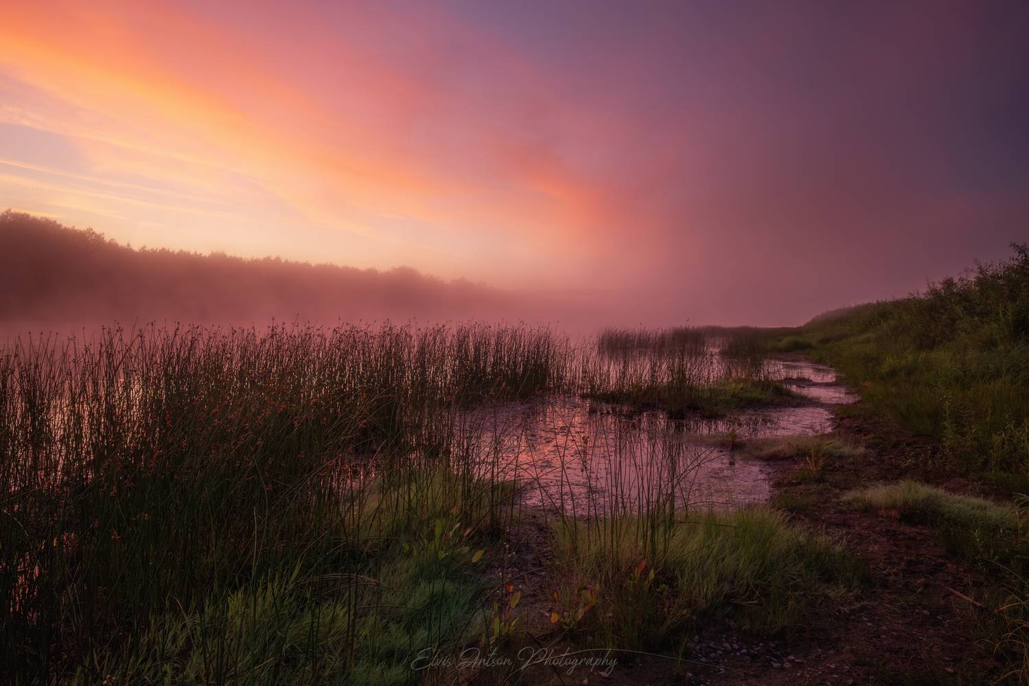 пейзаж, природа, рассвет, туман, Antson Elvis