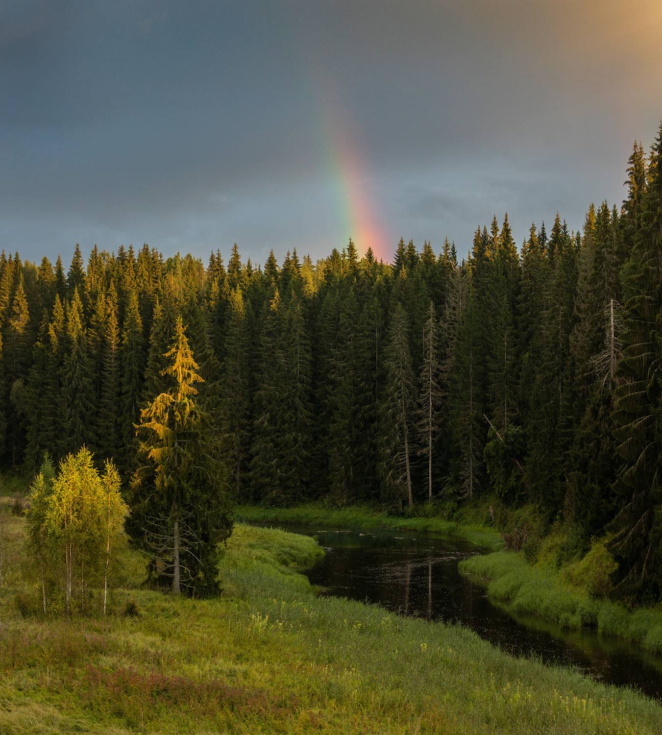 деревня,  русский север, рассвет, ленинградская область,  радуга, природа, утро, лес, Павел Ващенков