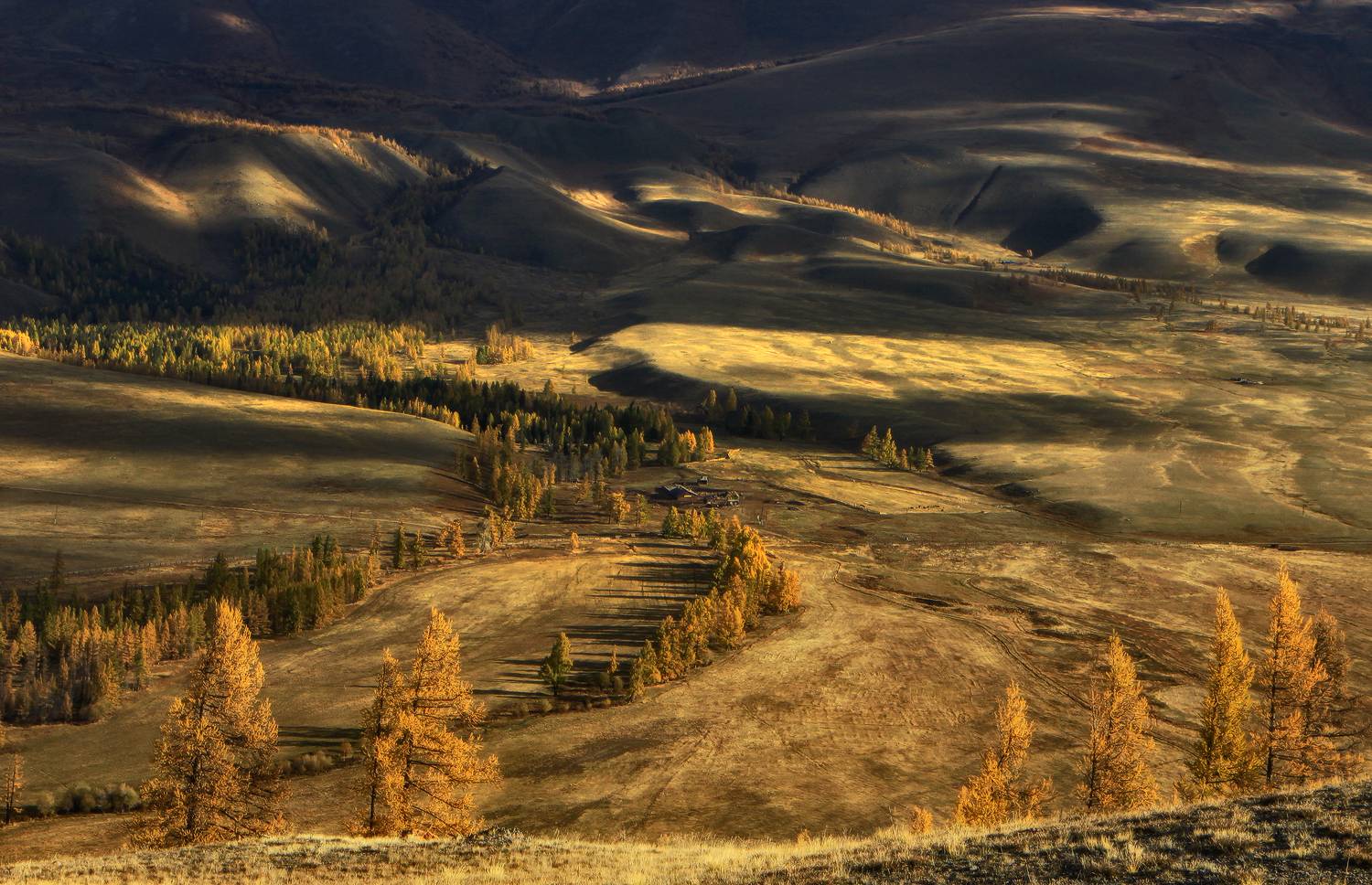 алтай, горный алтай, курай, Галина Хвостенко