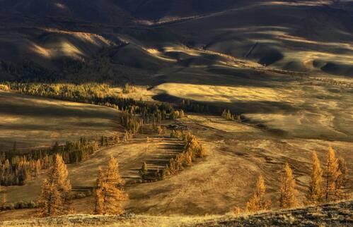 У подножия Курайского хребта
