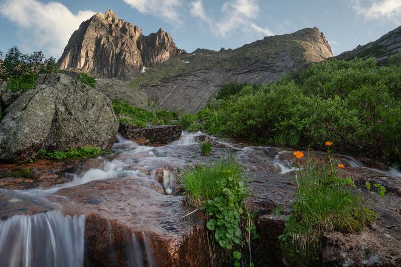 Начало лета фото превью