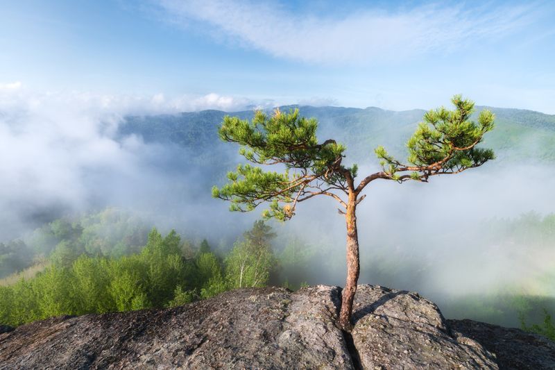 С раскрытыми объятьями фото превью