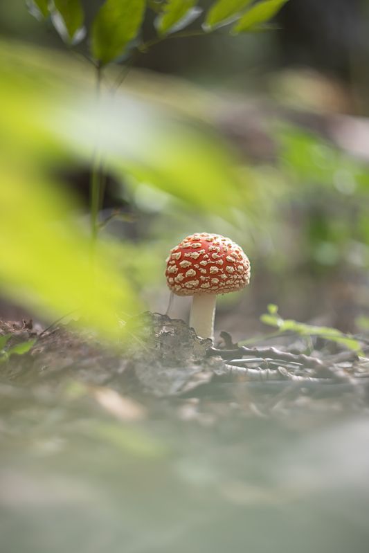 В первый день осени фото превью