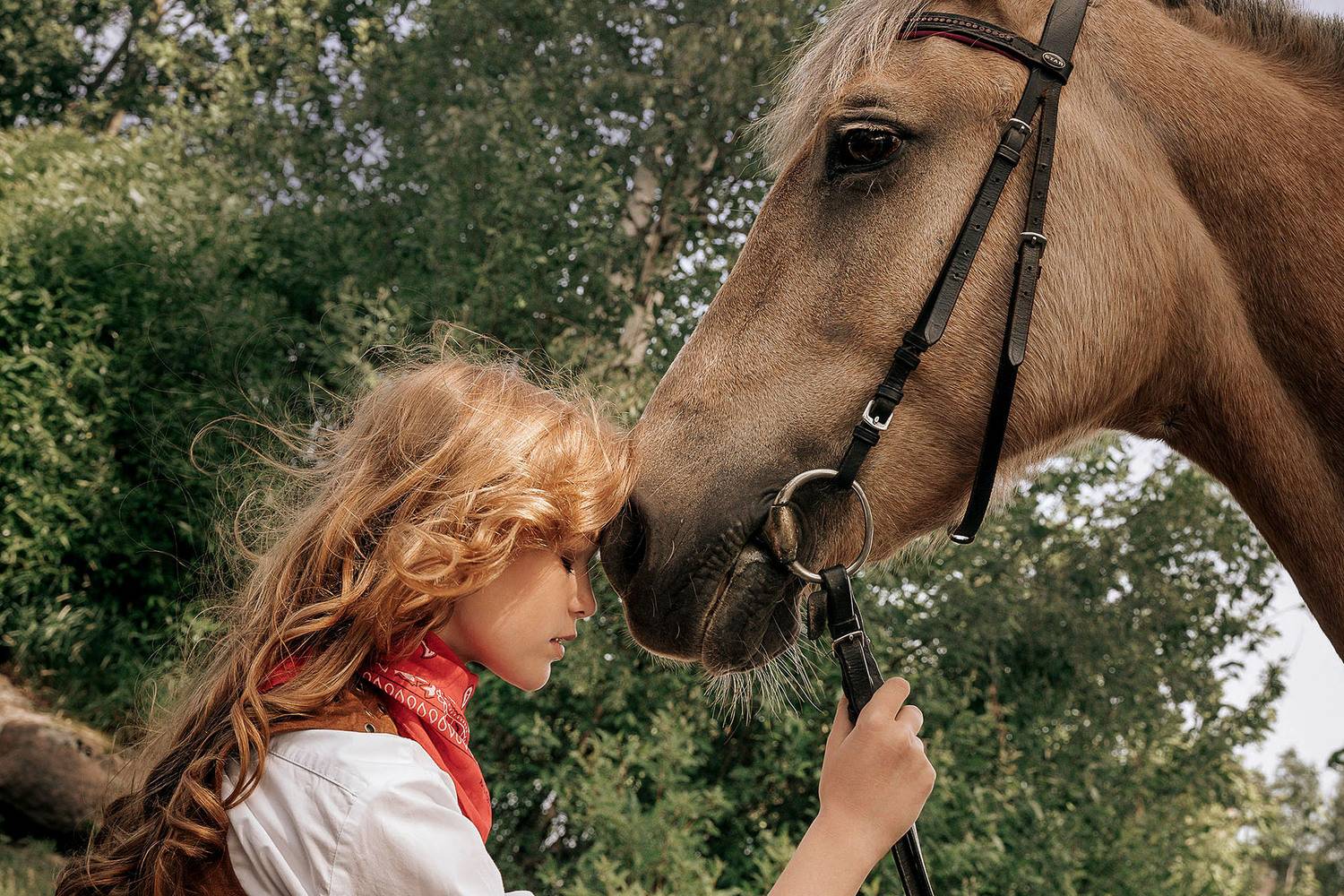 , Стеценко Александр