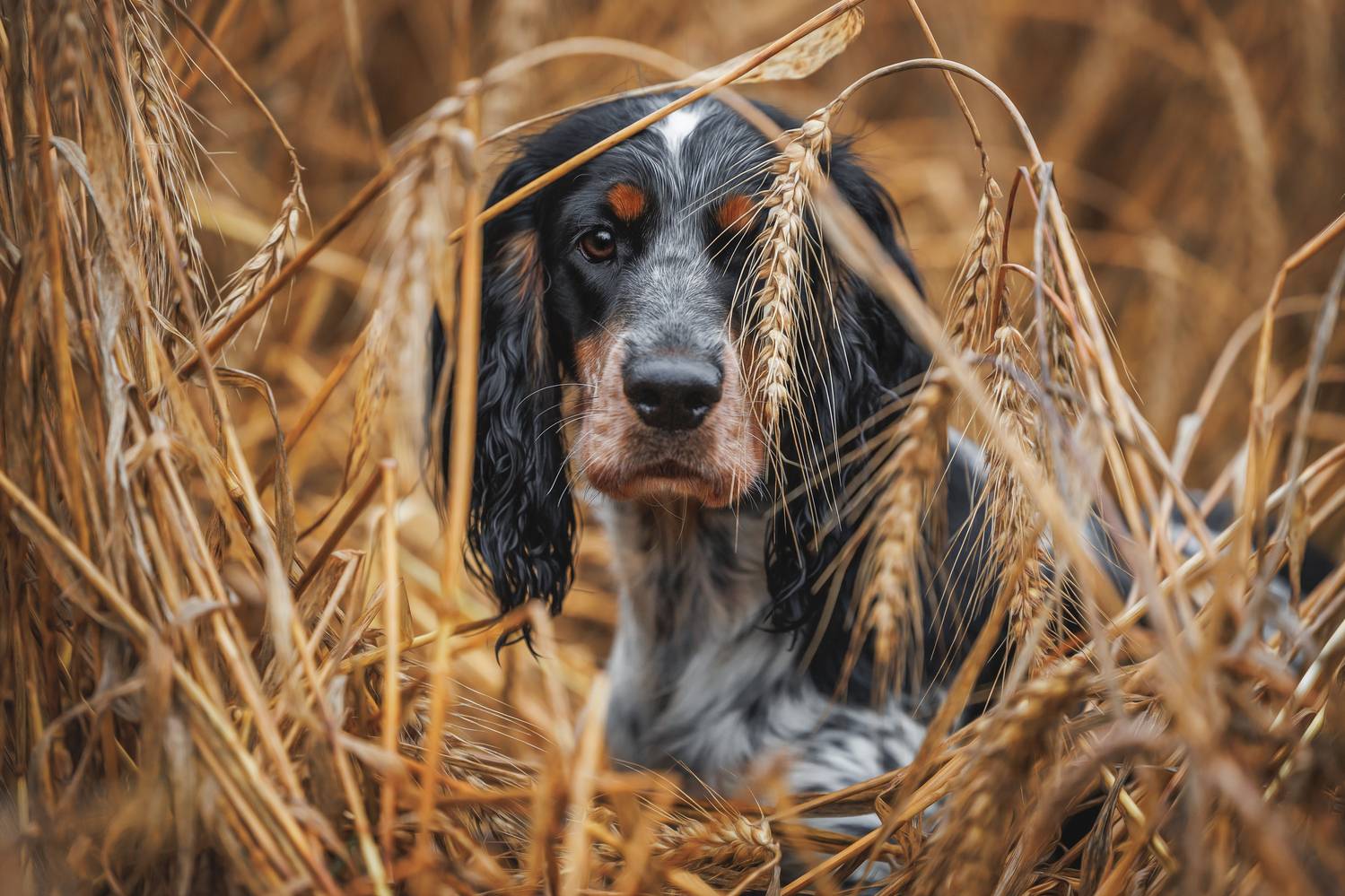 , Яна Нарбутович