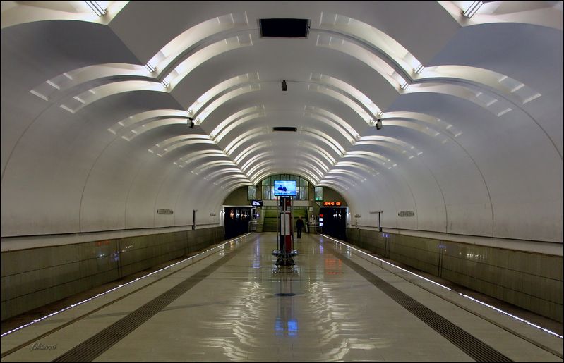 станция метро Лесопарковая. Москва фото превью