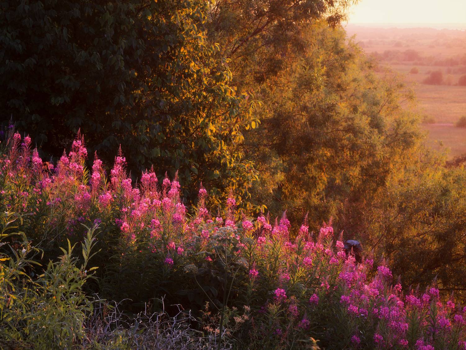 , Александр Титов