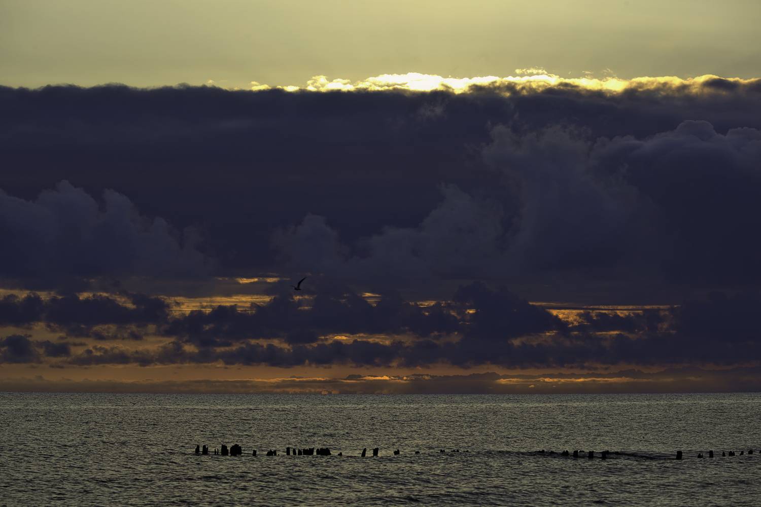 , Аседач Александр