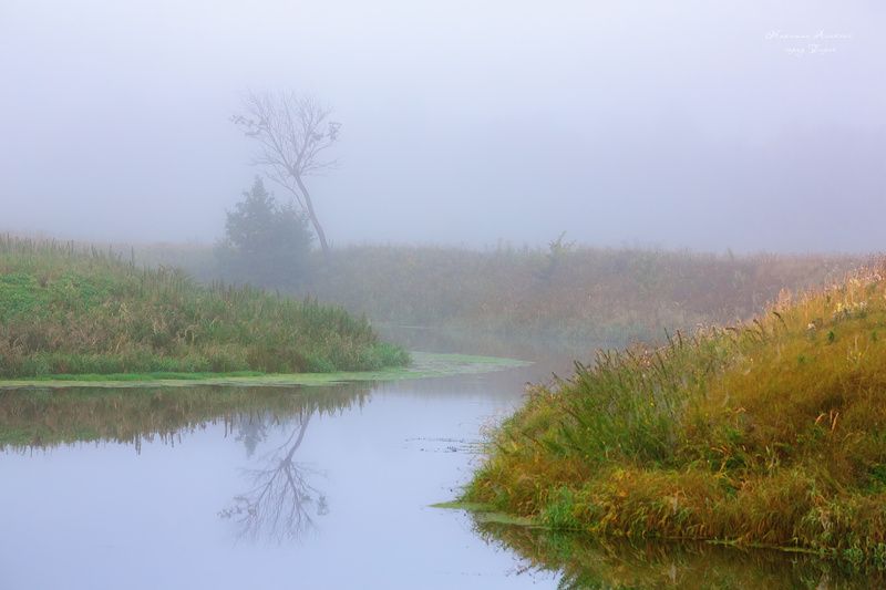 Затишье утра фото превью