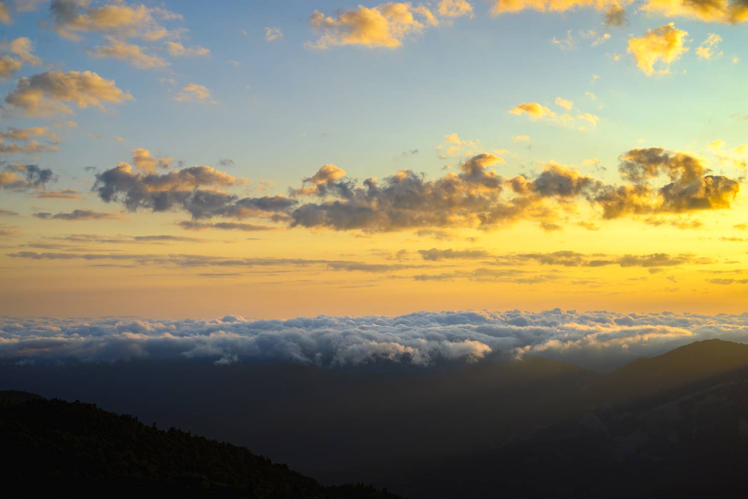 , Михаил Пустынников