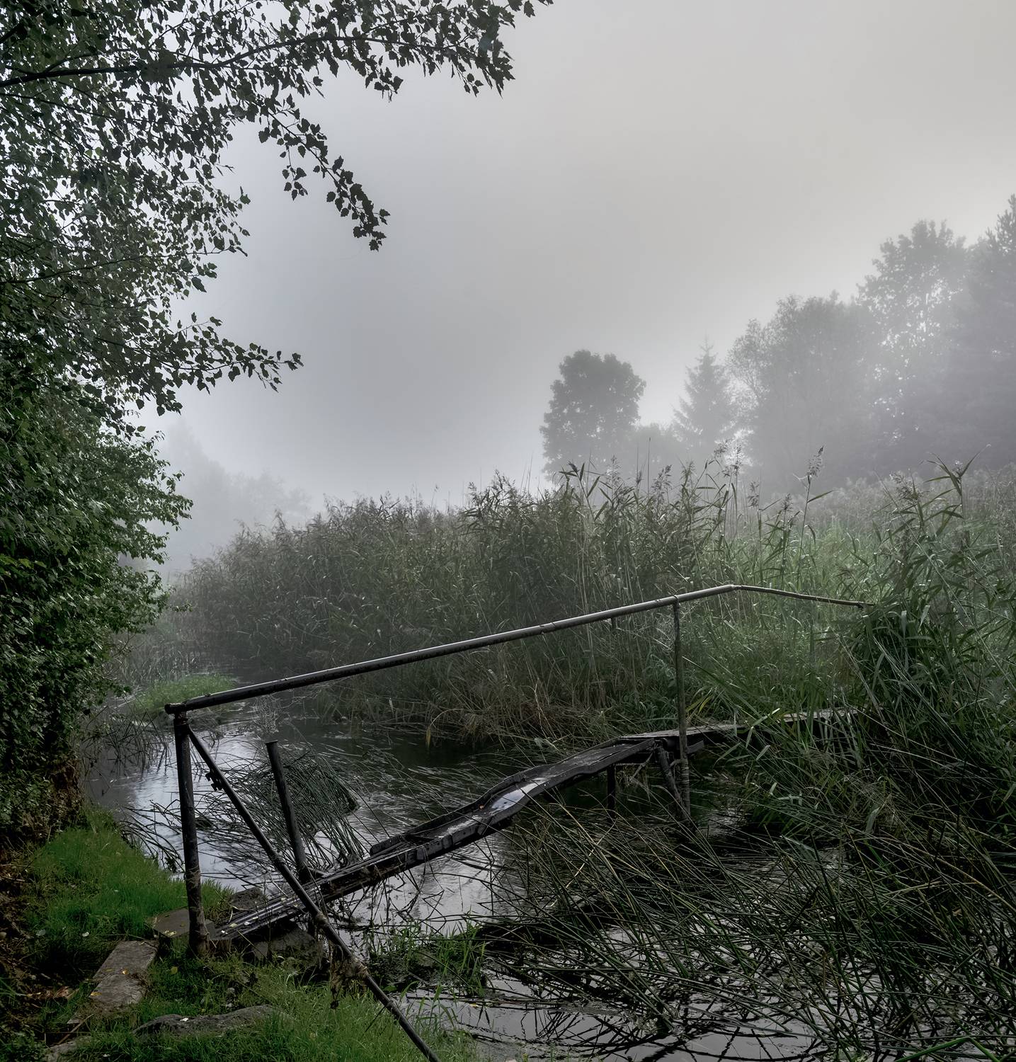 river,fog,morning,bridge, Eugenijus Rauduve