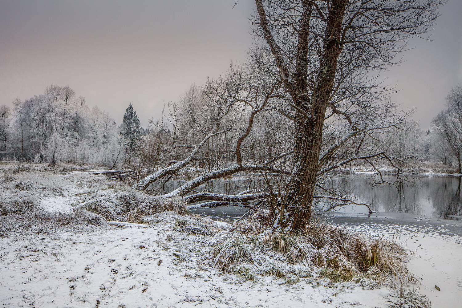 ,  александр михайлов