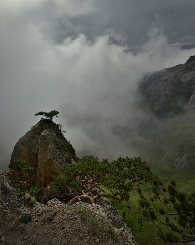крым, горы, демерджи, туман Заглядывая под облака фото превью