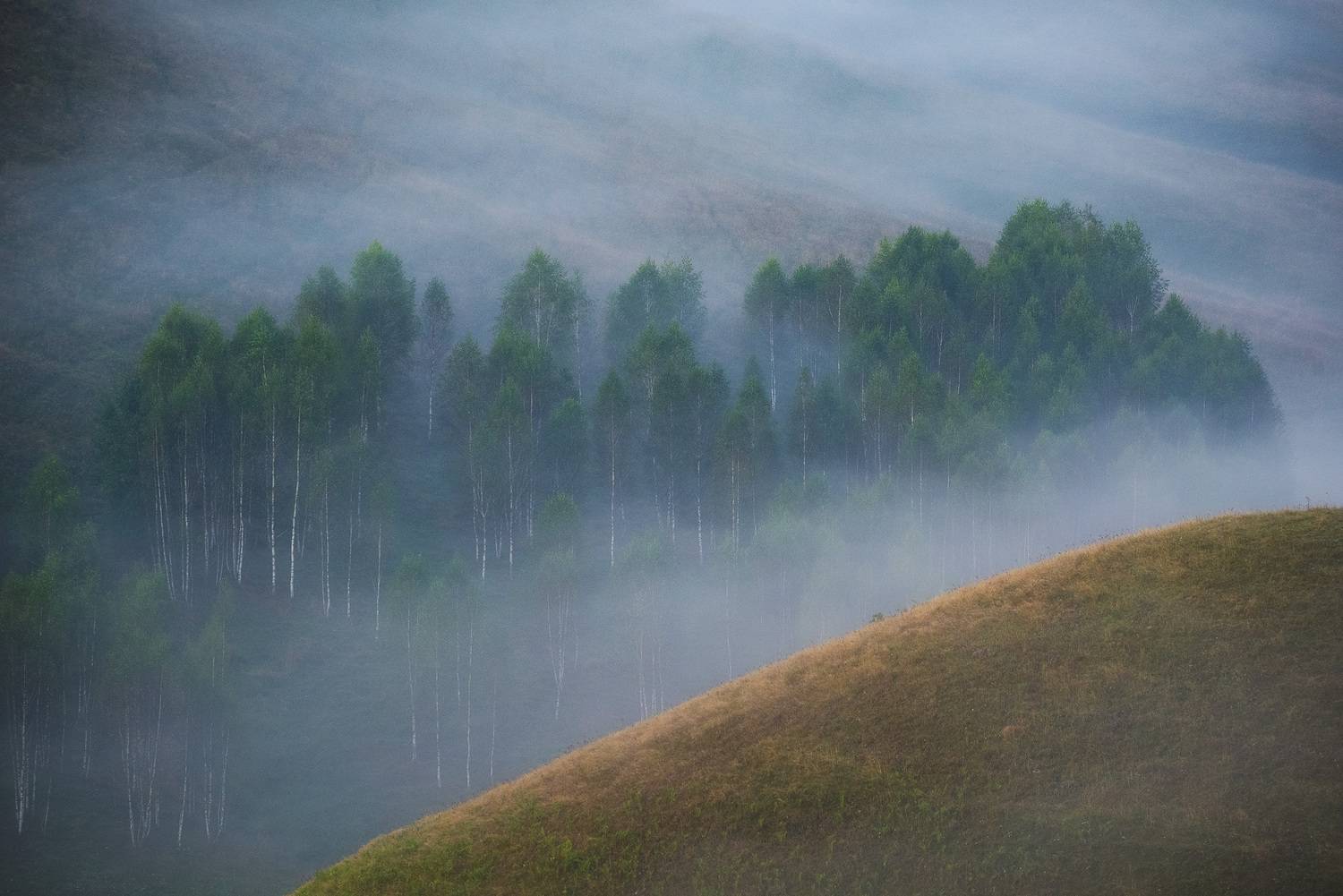 , Stefan Chirobocea